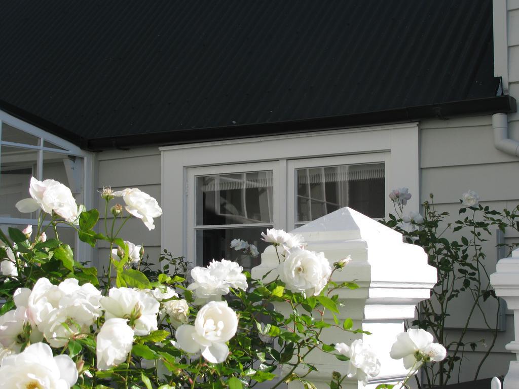 Historic Colenso Cottage Napier Eksteriør bilde